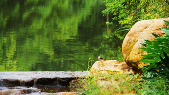 合郡領薈一房總價60萬起