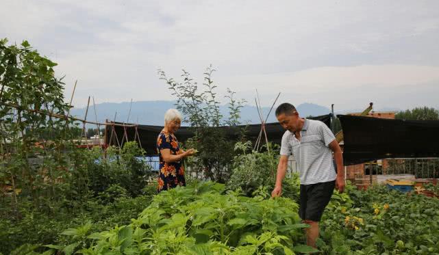 濟南南部山區(qū)有不少小產(chǎn)權房依山傍水