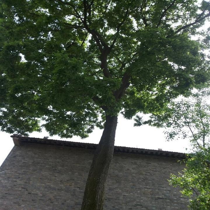 新機場回遷小區空港新苑