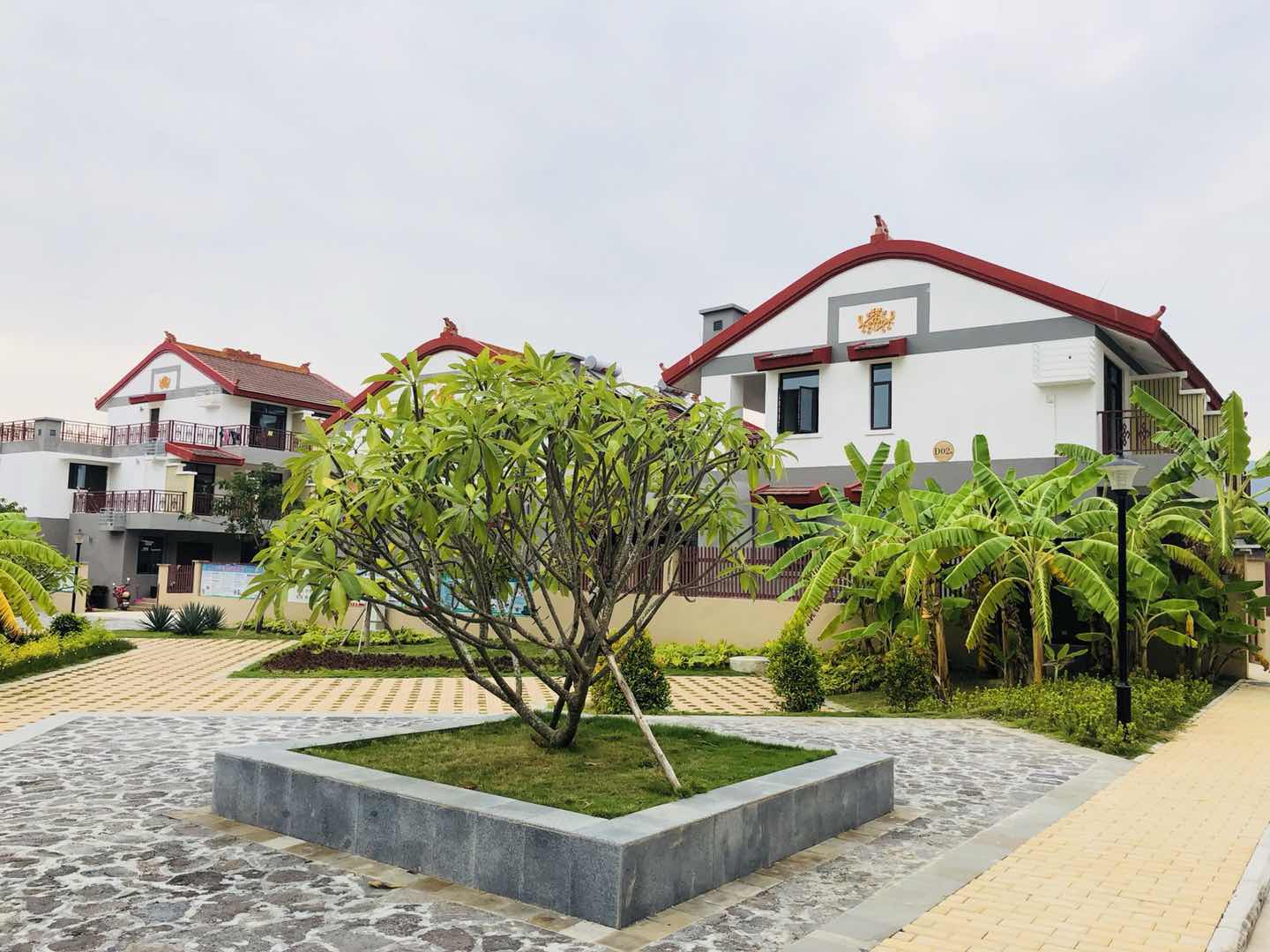 呈貢江尾村片區開始了城改招選