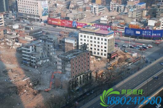 云波社區(qū)一共有五個(gè)城中村改造項(xiàng)目在進(jìn)行